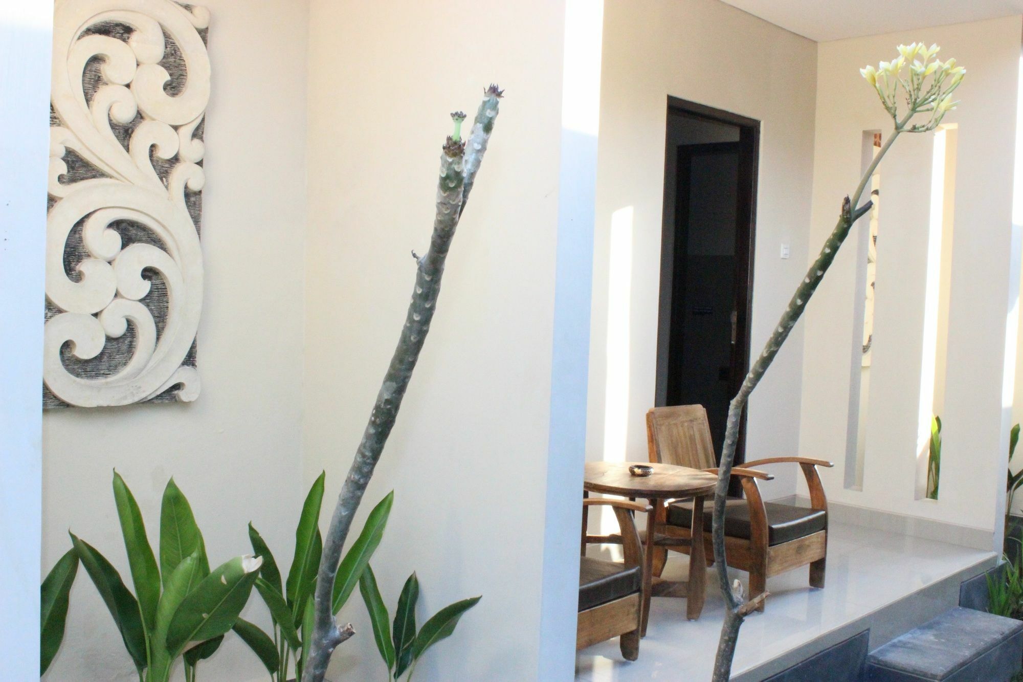Blanjong By Ecommerceloka Sanur